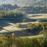 Brezova reber view