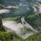 Kozice view