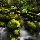 Mirtoviški stream