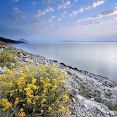 Poljana coast
