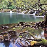 Breg pri Zagradcu lehnjak dam