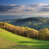 Leskovec v Podborštu view
