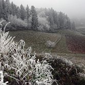 Tolsti vrh frosen