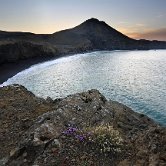 Grindavik coast