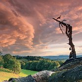 Gabrje fallen tree