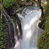 Šunik water Grow