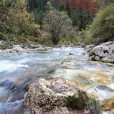 Možnica stone